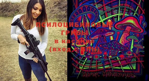 мдпв Баксан
