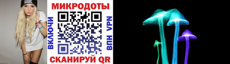 закладка Ужур Галлюциногенные грибы мицелий