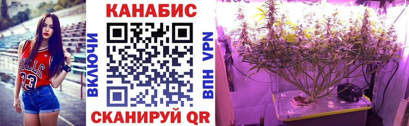 Конопля гибрид купить цена Ужур